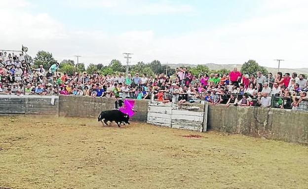 El festejo taurino centra la penúltima jornada festiva