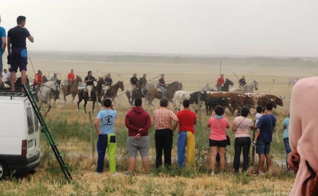 Doscientos caballistas participan en el encierro campestre de Cantimpalos