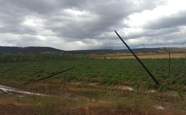 El granizo golpea y daña al lúpulo a escasas semanas de iniciar su recogida