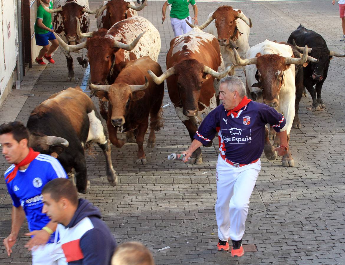 Tercer encierro de las fiestas de Cuéllar