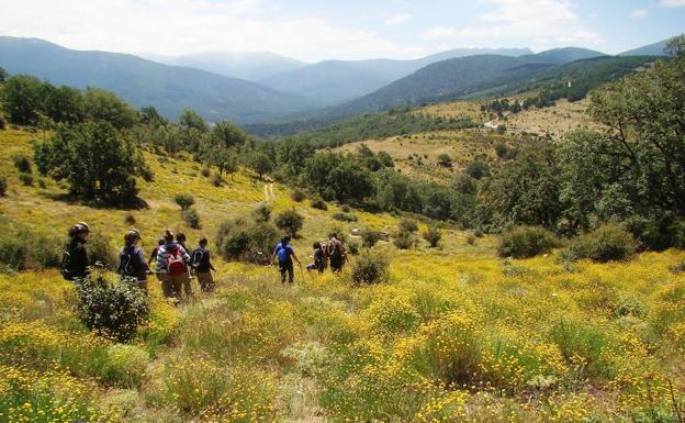El paseo 'El Cerro de Matabueyes' muestra Segovia desde Valsaín