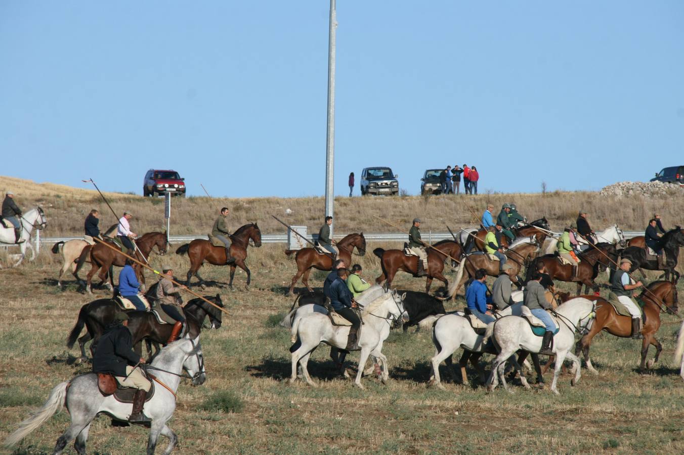 Último encierro de las fiestas de Cuéllar