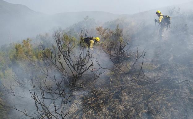 Cinco incendios permanecen activos en Castilla y León