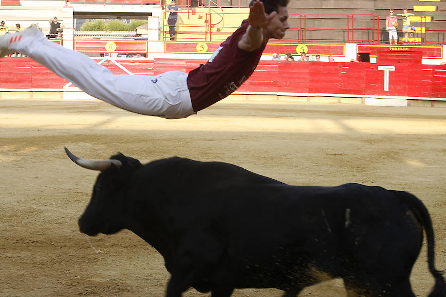 Concurso de cortes en Laguna de Duero