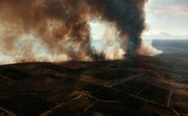 Llega a nivel 1 de peligrosidad un incendio declarado en la provincia de Zamora