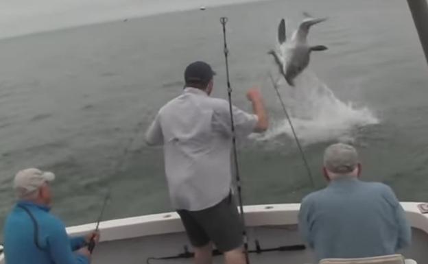 Un tiburón da un gran susto a tres pescadores