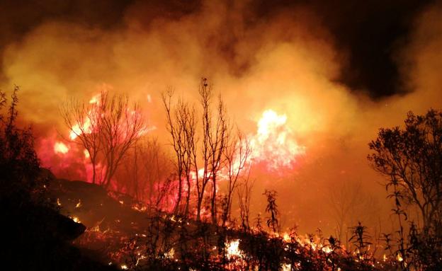 El incendio de Portugal que afecta a Zamora, en nivel 1