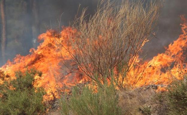 El gran incendio de Encinedo calcinó 9.964 hectáreas, según la Consejería de Medio Ambiente