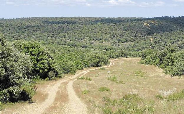 Primer contacto del Ayuntamiento de Toro y la Diputación con Defensa por Monte la Reina