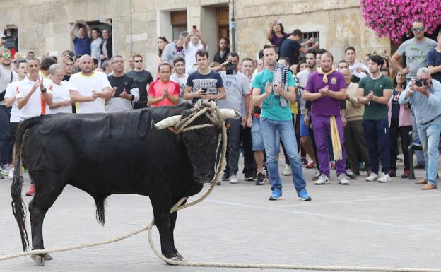 aplausos para el toro del pueblo