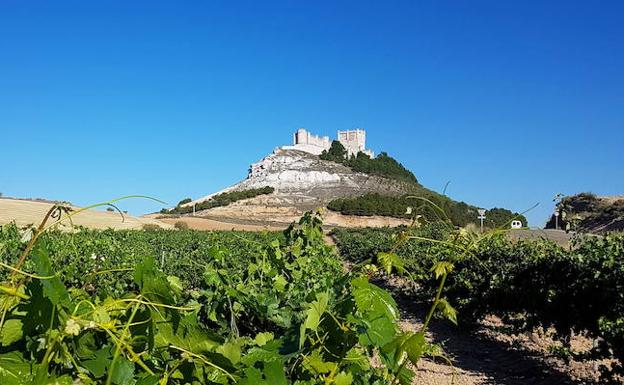 Peñafiel evoca su esencia vinícola en el nuevo callejero sin nombres franquistas