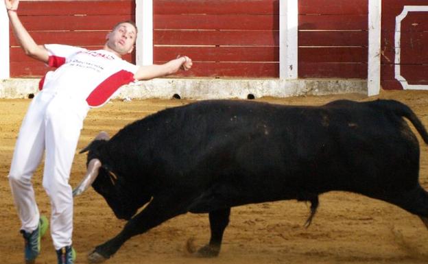 'Guindi' continúa su cosecha de premios con el concurso de cortes de Olmedo