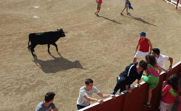 Qué hacer este fin de semana en la provincia de Valladolid