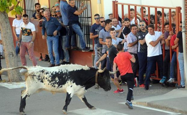 Rueda celebra el Toro de la Vendimia sin incidentes