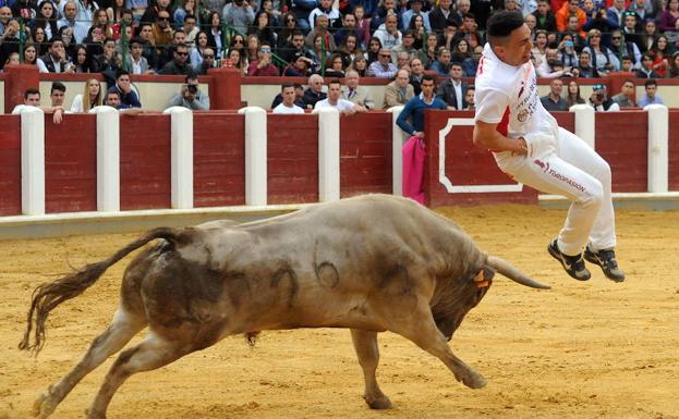 El vallisoletano 'Use', revalida el título de Campeón de España de Cortes