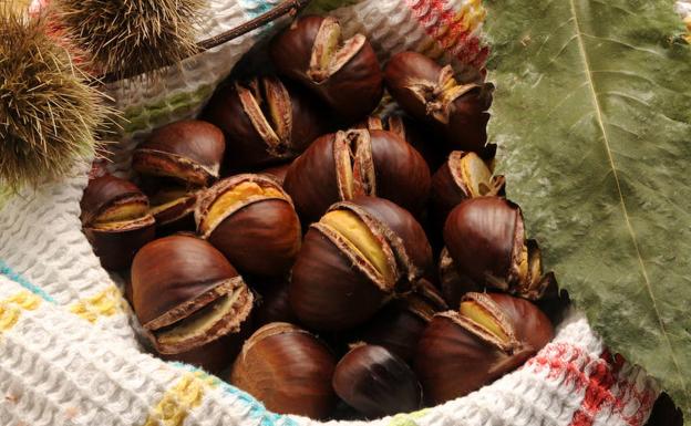 Segovia busca castañeros