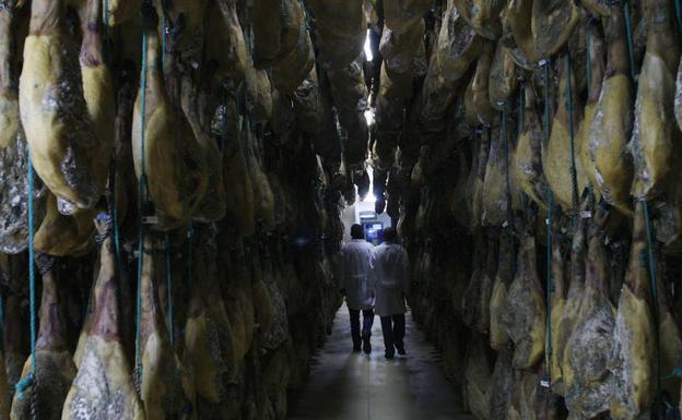 Agricultura, ganadería y fármacos lideran las 100 grandes empresas de Salamanca