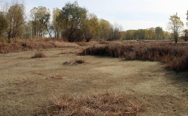 El Ayuntamiento recrecerá el Espadañal para retener más agua