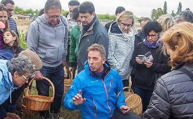 Fuenterrebollo echa el lazo a 26 especies de setas
