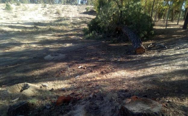 Los opositores a la planta de residuos en Aldeanueva convocan una protesta