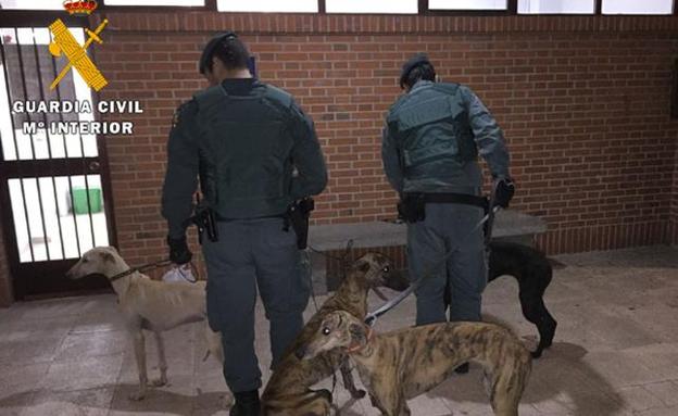 La Guardia Civil realiza nuevas detenciones por furtivismo en la comarca de Arévalo