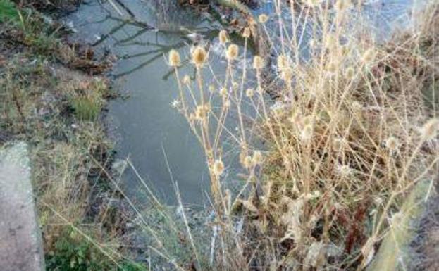 Los vecinos de El Zurguén denuncian que los vertidos convierten el arroyo en «un estercolero»