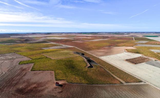 Valladolid inaugura la primera ruta ecuestre certificada de la región