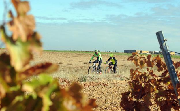 Una nueva ruta a caballo conectará Medina, La Seca y Rueda