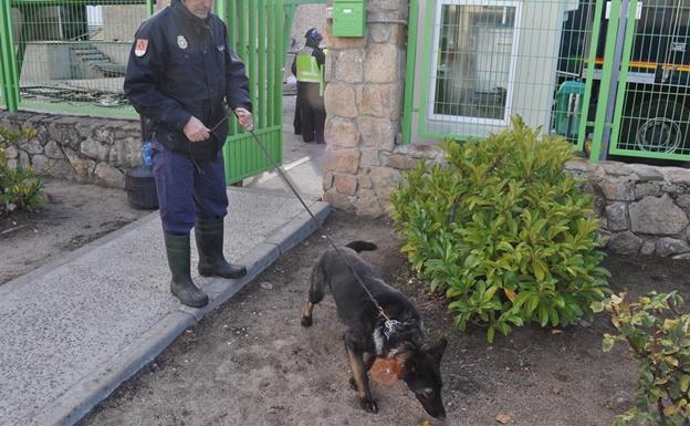 Perros especializados buscan acelerantes del fuego en la nave calcinada de Ornua