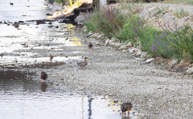 Solo ha llovido un día en el mes de noviembre en Valladolid