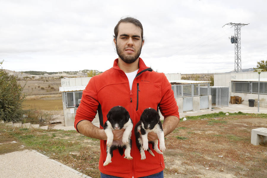 Centro de protección de animales 'Scooby' en Palencia