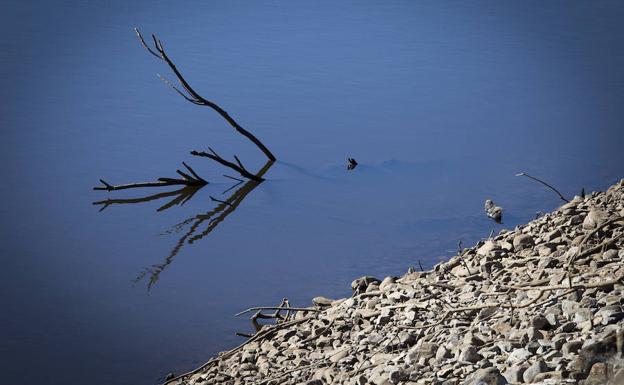 Sin agua, no hay dinero