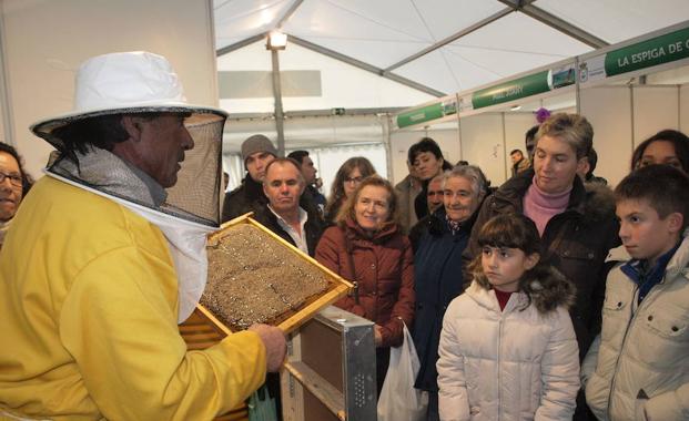 La octava edición de laFeria Apícola pretende relanzar el aspecto profesional