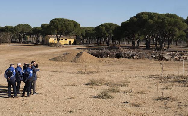 Pingüinos 2018 espera llegar a 30.000 inscritos