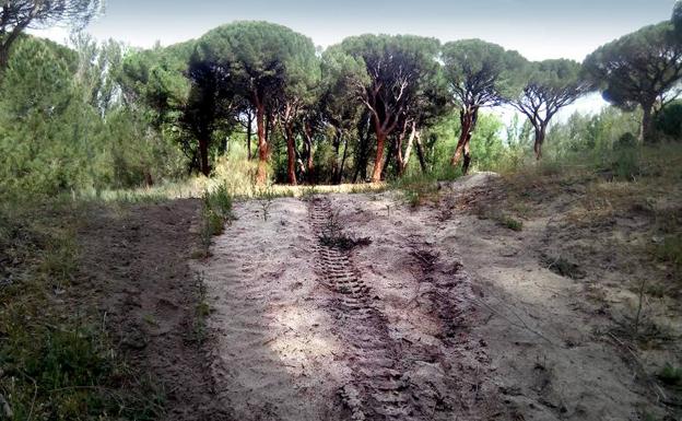 Terractua condena la trampa con cable en un sendero y el mal uso de motos y quads
