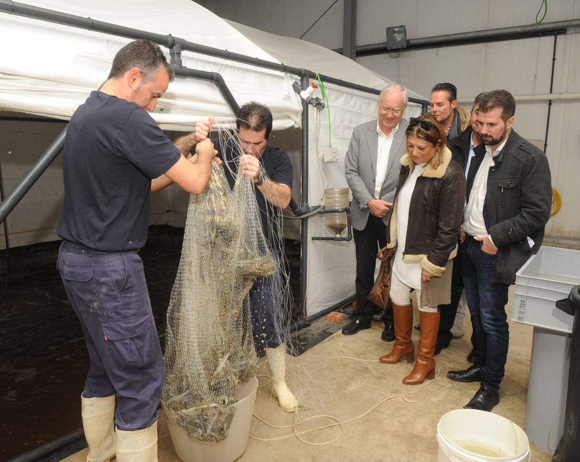 Tudanca visita la empresa Gamba Natural de Medina del Campo