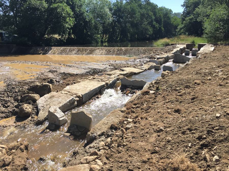 Crean una veintena de rampas para los peces en los ríos de la provincia
