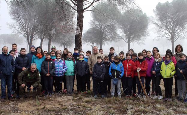 La Junta reforesta 76 hectáreas del pinar quemado en Nava en primavera