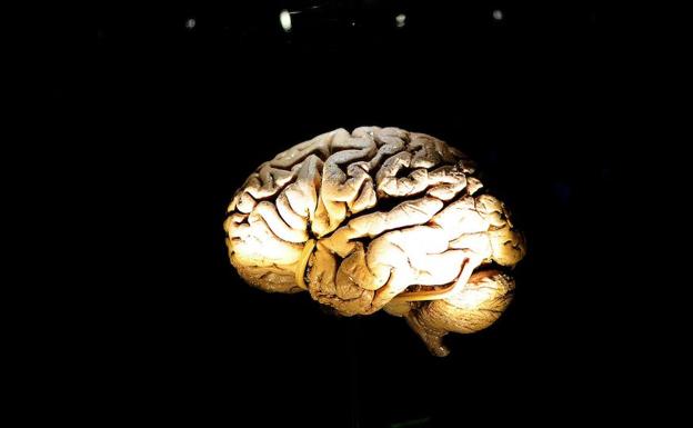 Los usuarios aspiran a que los móviles les ayuden a decidirse