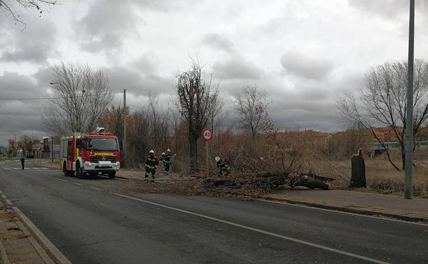 ‘Ana’ tira árboles y farolas con vientos de 137 kilómetros por hora en La Covatilla