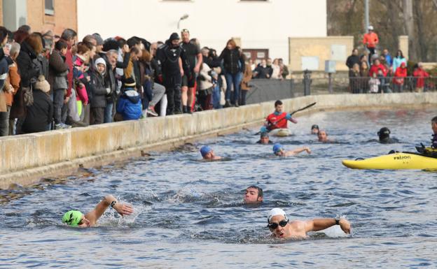Solo para nadadores valientes