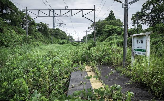 Comienza la limpieza radiactiva en la ciudad que alberga la planta de Fukushima