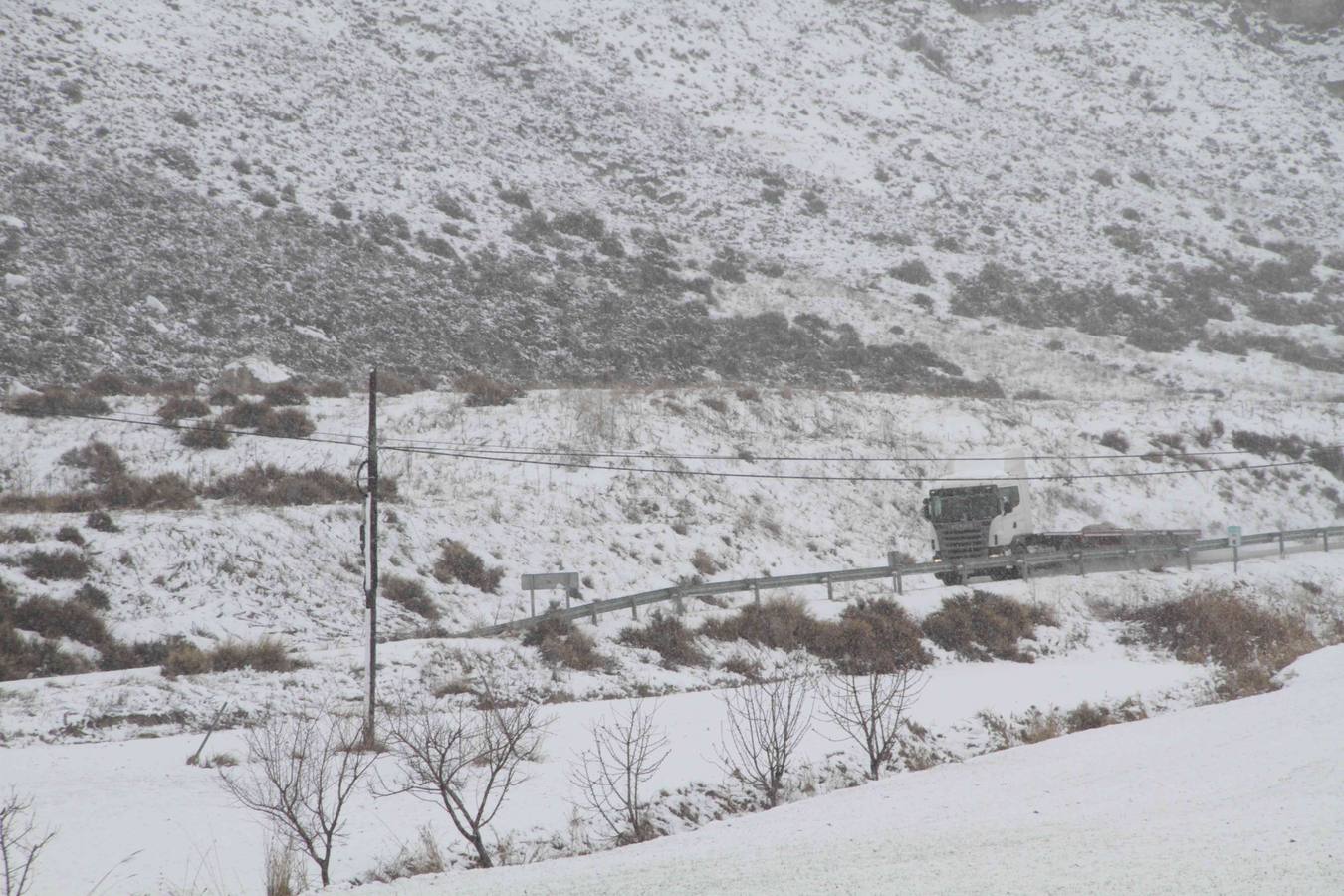 Nevada en Campaspero