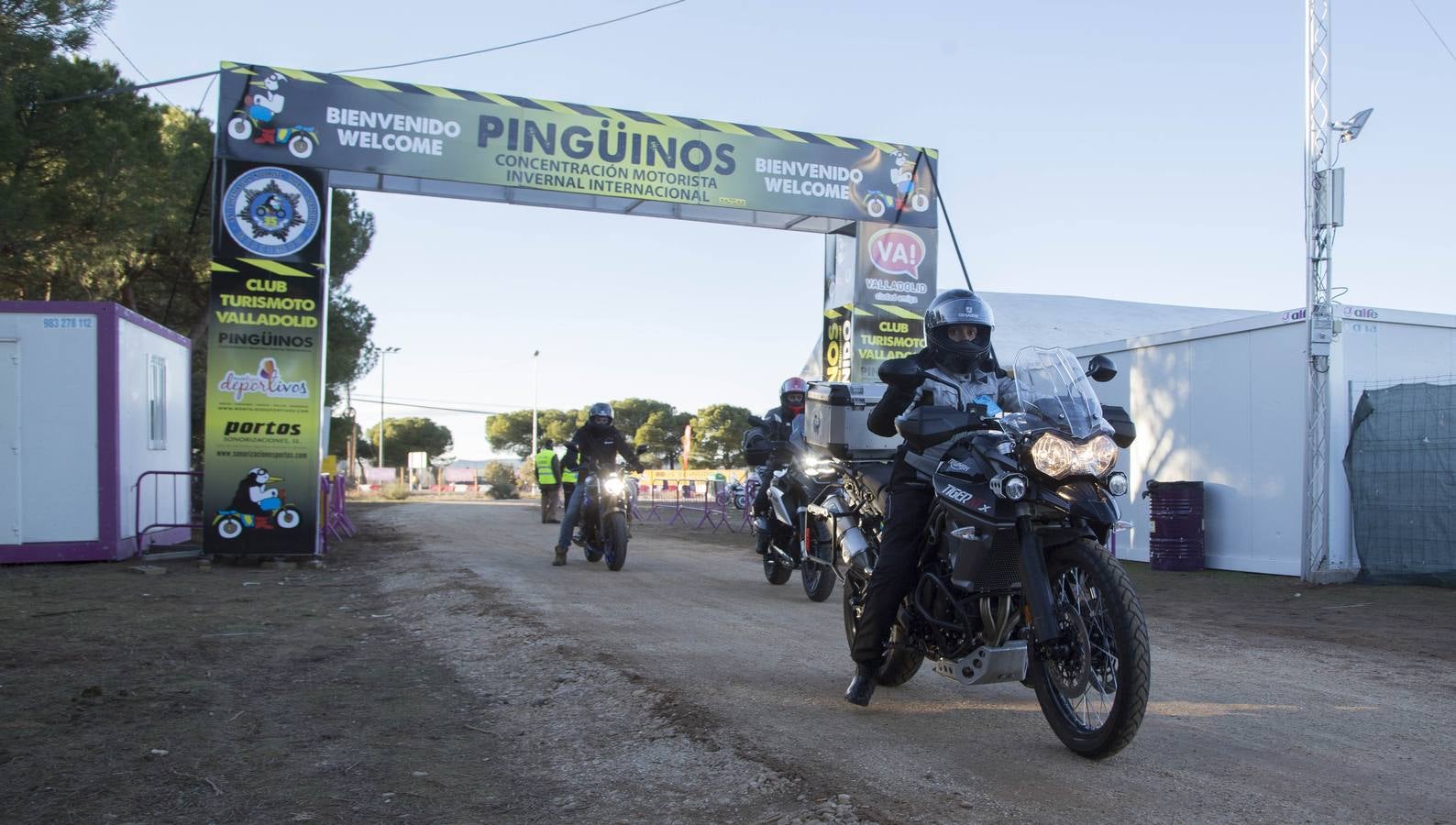 Llegan los primeros Pingüinos a la zona de acampada