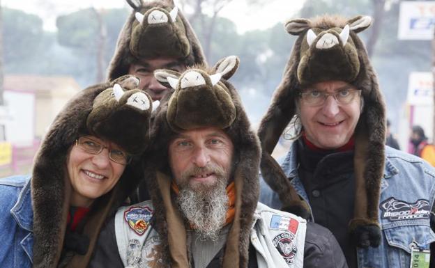 Envíanos tus fotos de Pingüinos