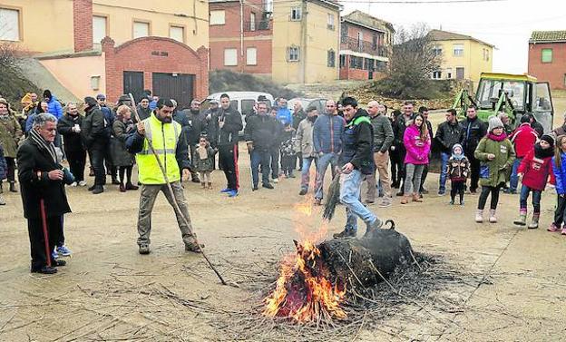 Fuentes de Nava festeja a su patrón con los animales como protagonistas