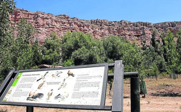 WWF exige ayuda económica para la conservación del Parque Natural Hoces del río Riaza