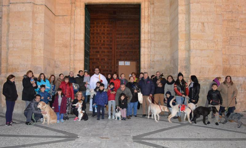 Celebración de San Antón en la provincia de Valladolid
