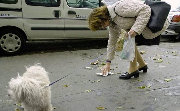 Segovia reforzará la vigilancia para evitar heces de perros en las calles