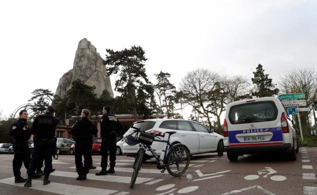 50 babuinos se escapan de una jaula del zoológico de París durante varias horas